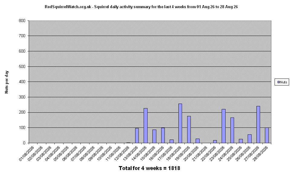 Click to view the Activity chart full-size