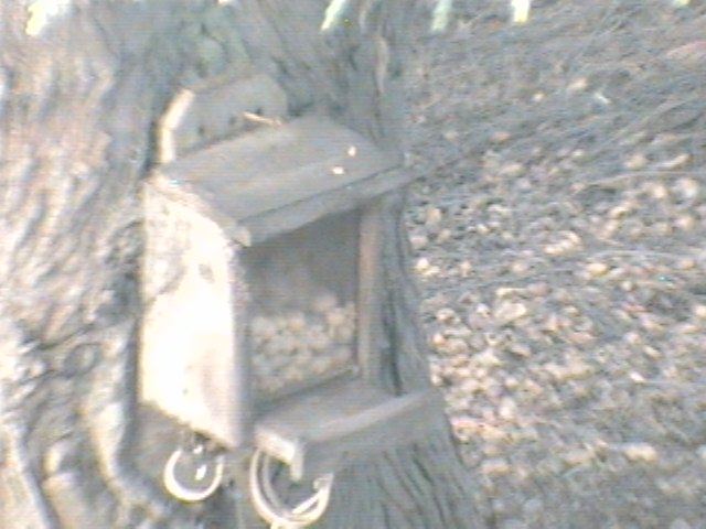Recent Webcam Image