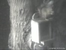 Click to view film clip